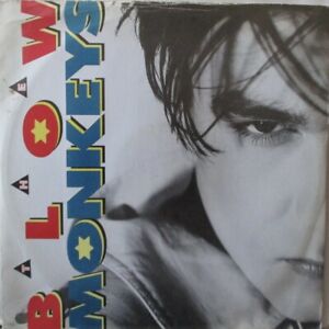 The Blow Monkeys